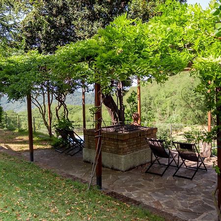 Lacelletta Country House Ουρμπίνο Εξωτερικό φωτογραφία