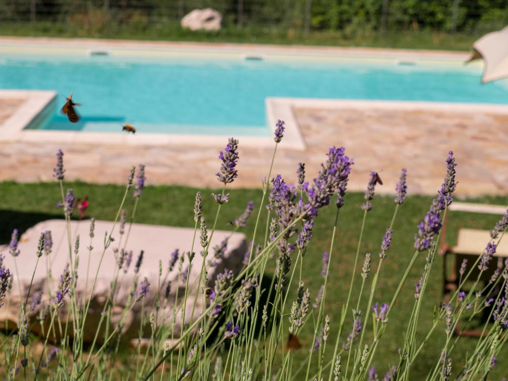 Lacelletta Country House Ουρμπίνο Εξωτερικό φωτογραφία