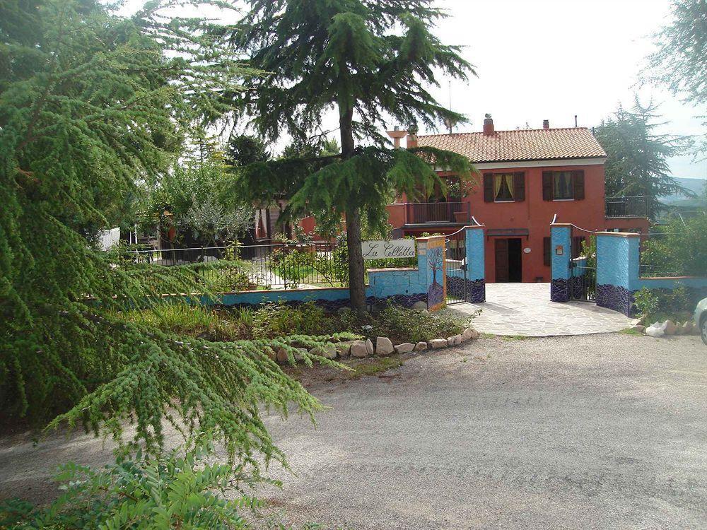 Lacelletta Country House Ουρμπίνο Εξωτερικό φωτογραφία